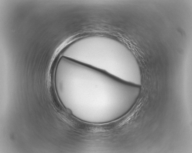 X0000116820246200912181120