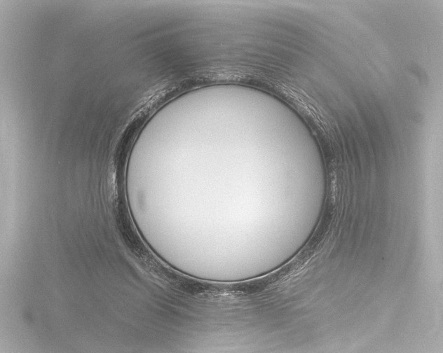 X0000116820254200912181120