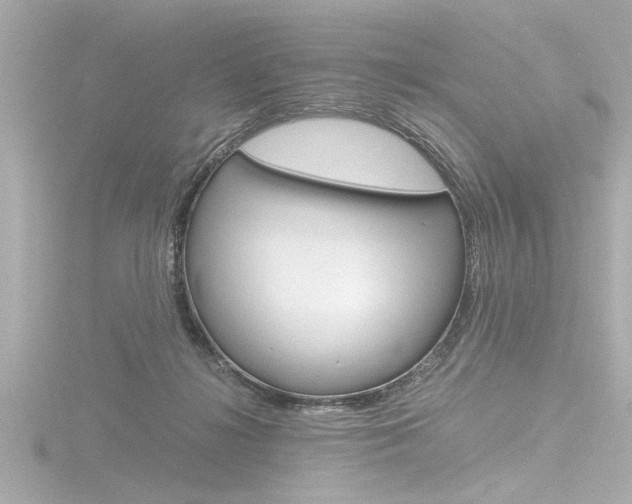 X0000116820268200912181121