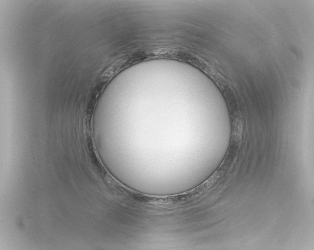 X0000116820272200912181121