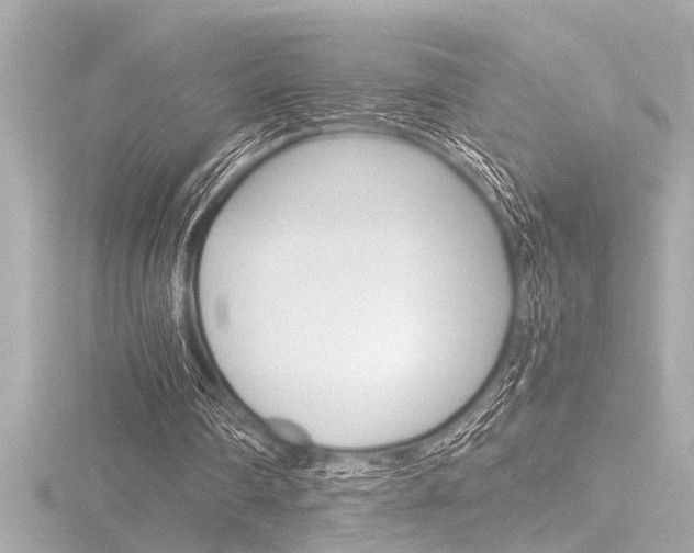 X0000116820290200912181120
