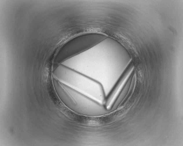 X0000116820308200912181120