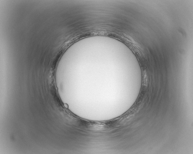 X0000116820318200912181120