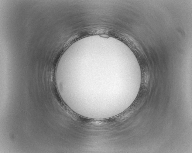 X0000116820326200912181120