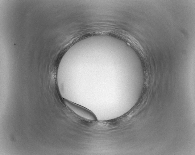 X0000116820329200912181120