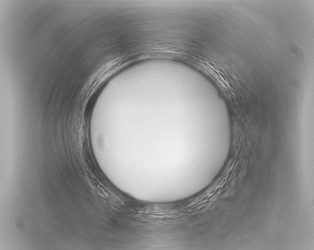 X0000116820338200912181119