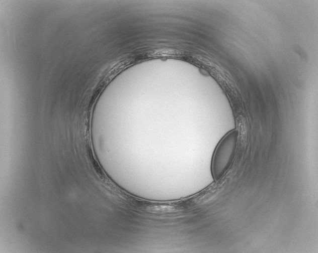 X0000116820361200912181119