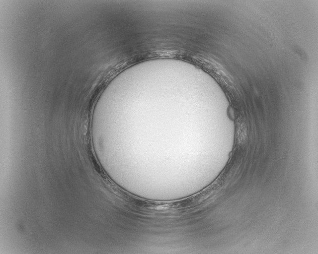 X0000116820365200912181119