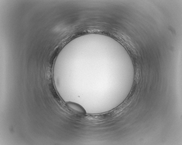 X0000116820367200912181119