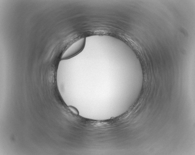 X0000116820379200912181119