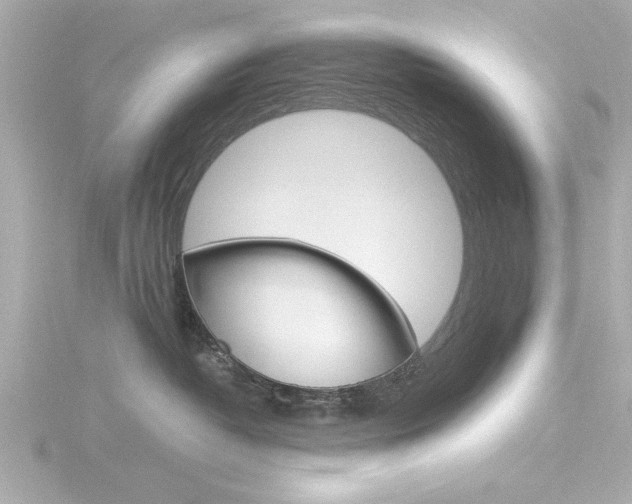 X0000116820382200912181119