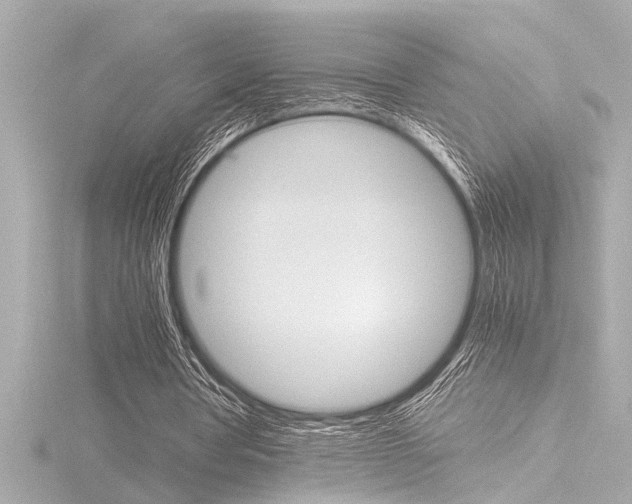 X0000116820386200912181119
