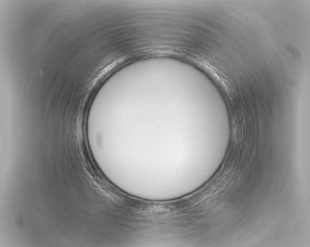 X0000116820390200912181119