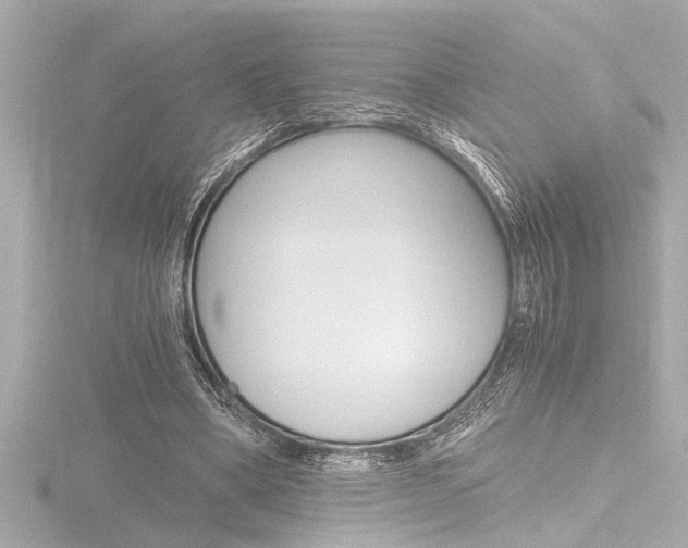 X0000116820394200912181119