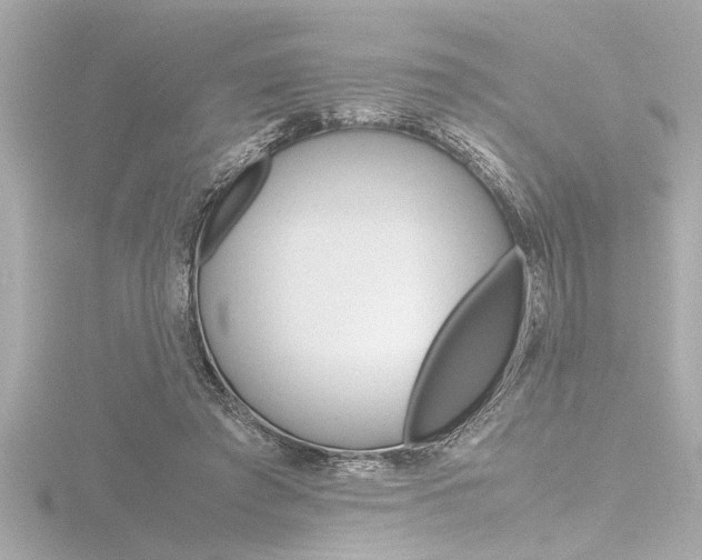 X0000116820401200912181119