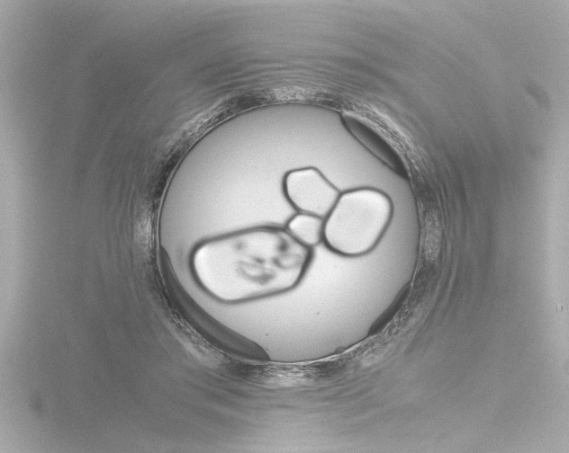 X0000116820405200912181119
