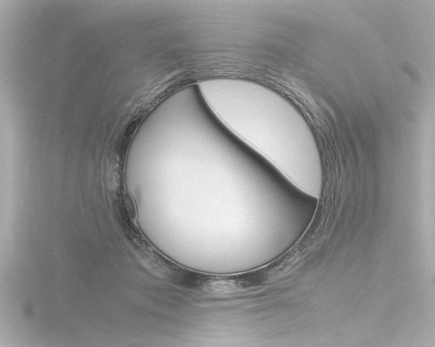 X0000116820413200912181118