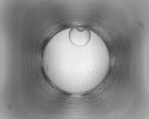 X0000116820418200912181118