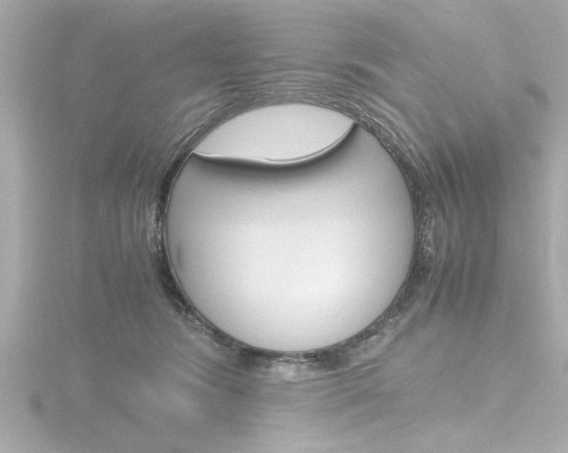 X0000116820420200912181118
