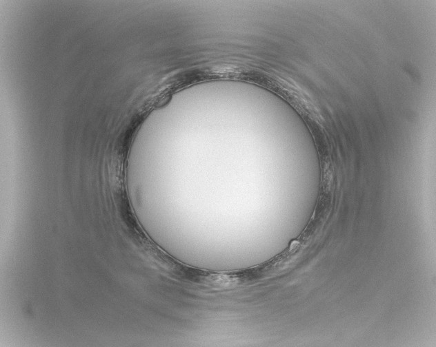 X0000116820421200912181118