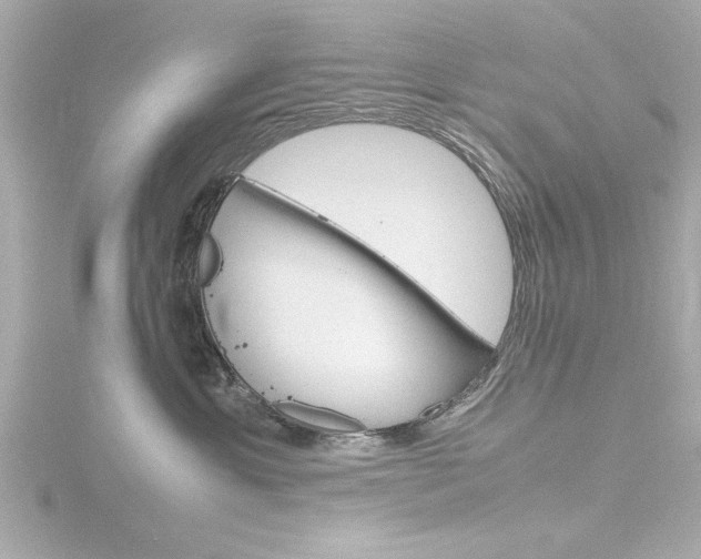 X0000116820429200912181118