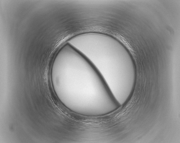 X0000116820434200912181118