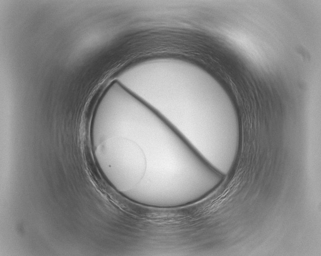 X0000116820435200912181118