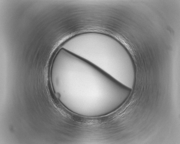 X0000116820438200912181118