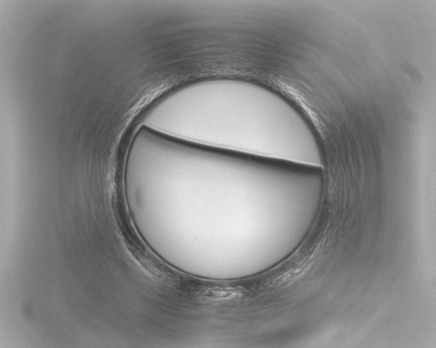 X0000116820443200912181118