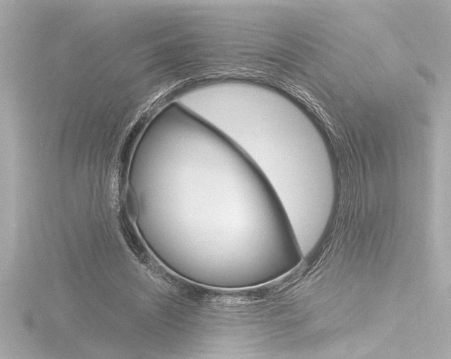 X0000116820444200912181118