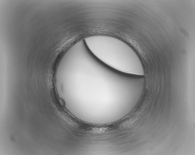 X0000116820450200912181118