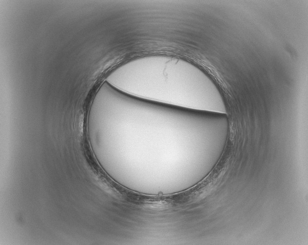 X0000116820454200912181118
