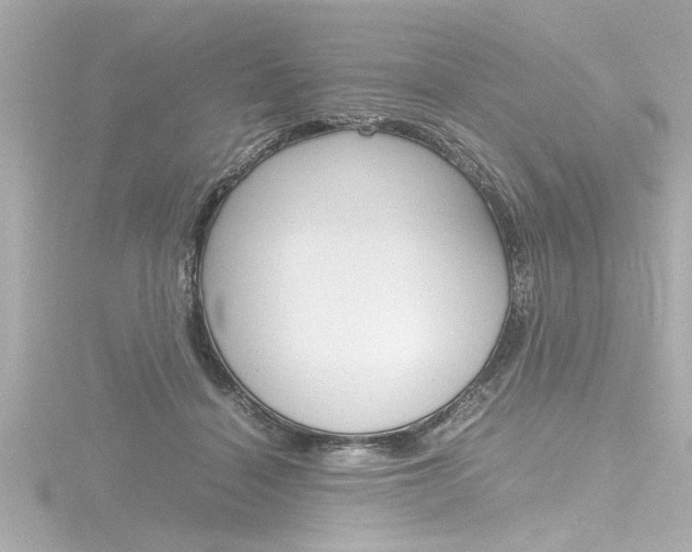 X0000116820460200912181118