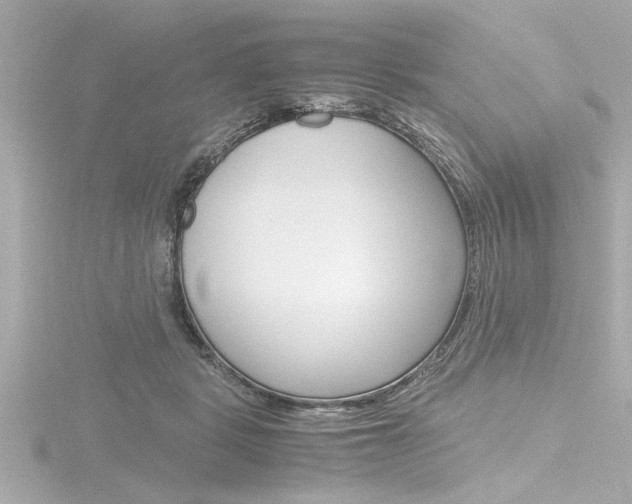 X0000116820461200912181118