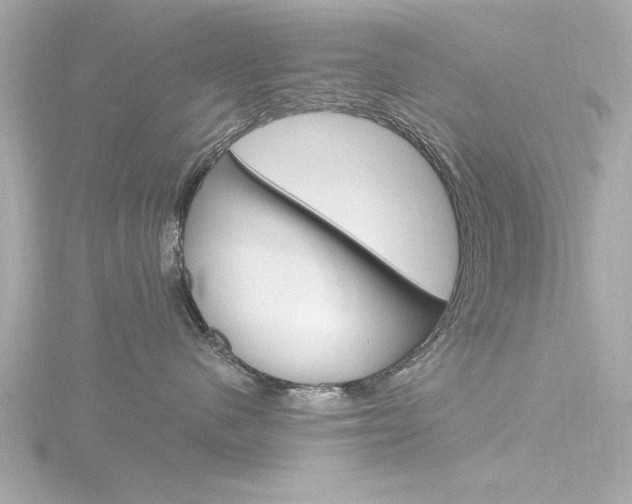 X0000116820480200912181118