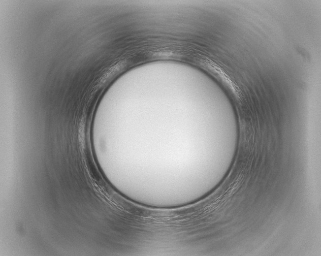 X0000116820482200912181118