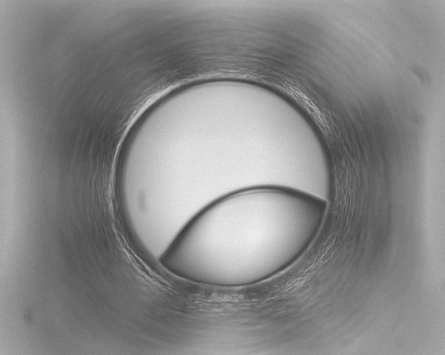 X0000116820484200912181118