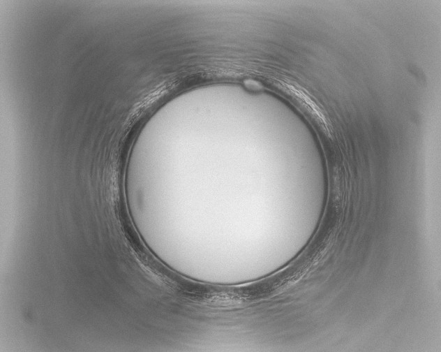 X0000116820489200912181117