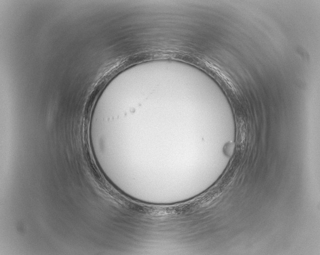 X0000116820494200912181117