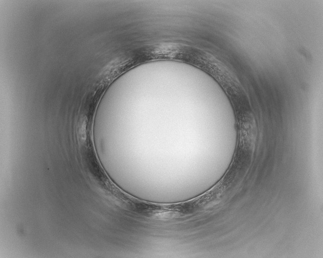 X0000116820504200912181117