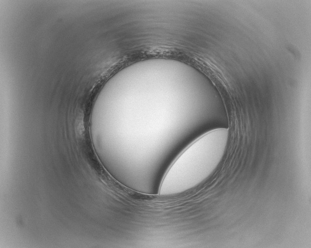 X0000116820508200912181117