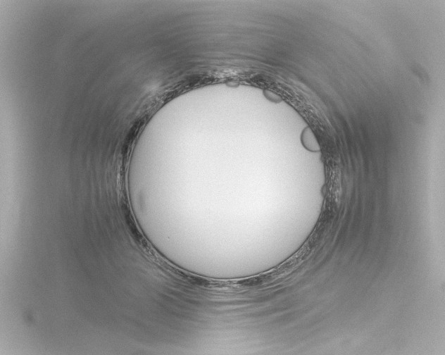 X0000116820510200912181117