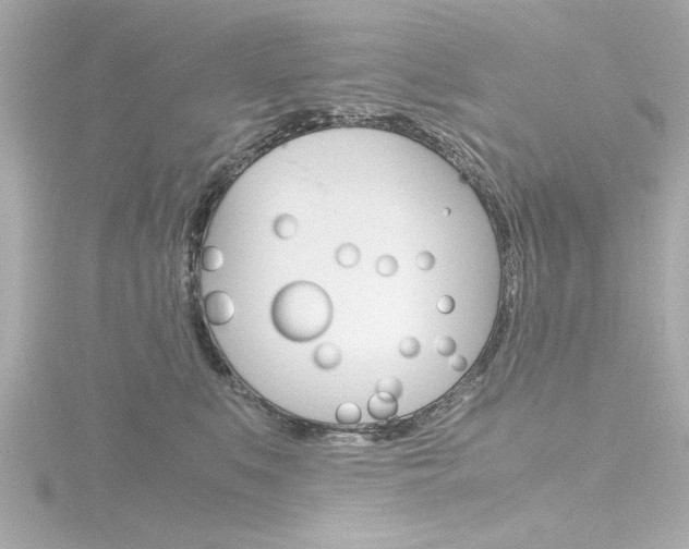 X0000116820519200912181117