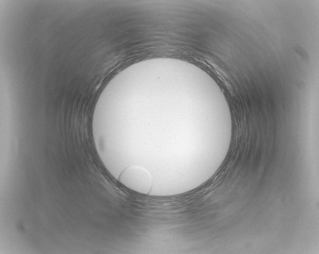 X0000116820524200912181117