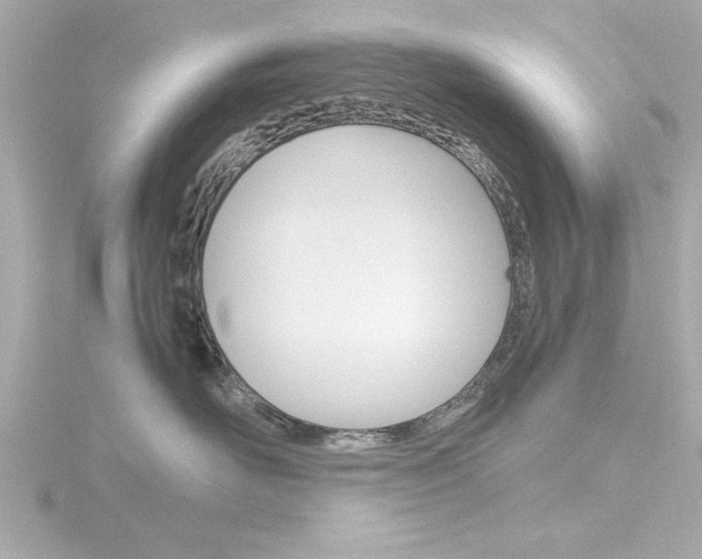 X0000116820526200912181117