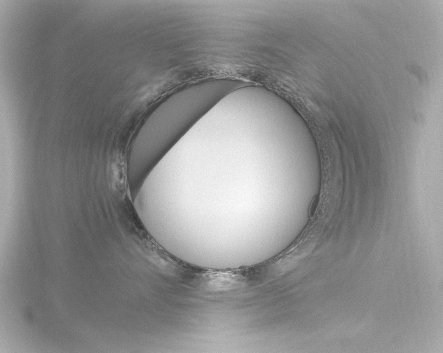 X0000116820528200912181117