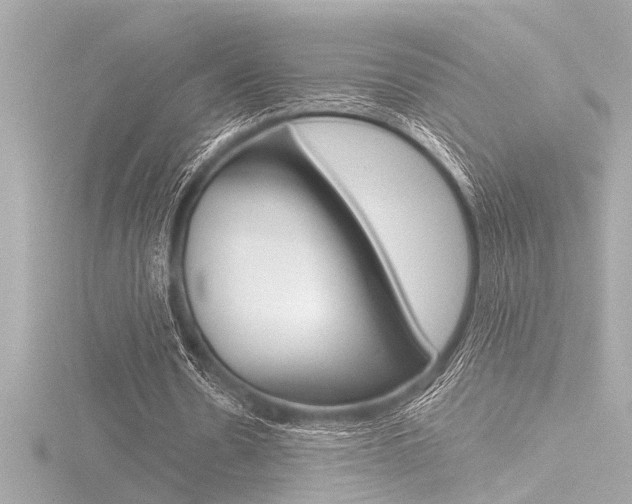X0000116820530200912181116