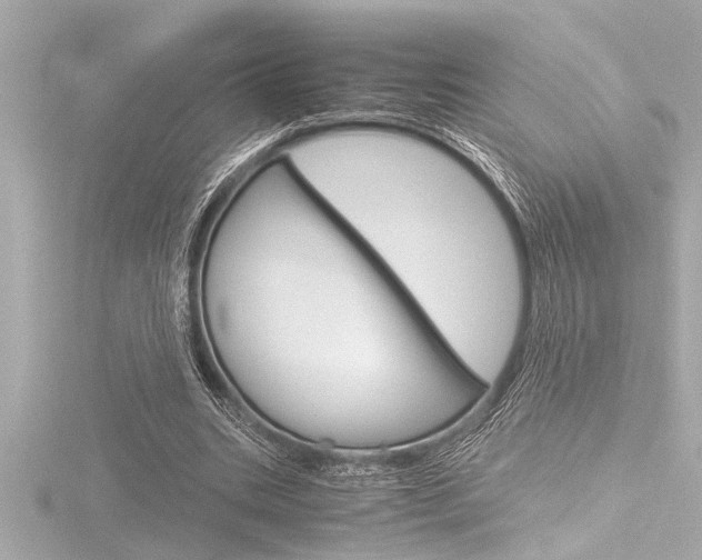 X0000116820535200912181116