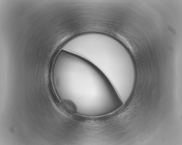 X0000116820538200912181116