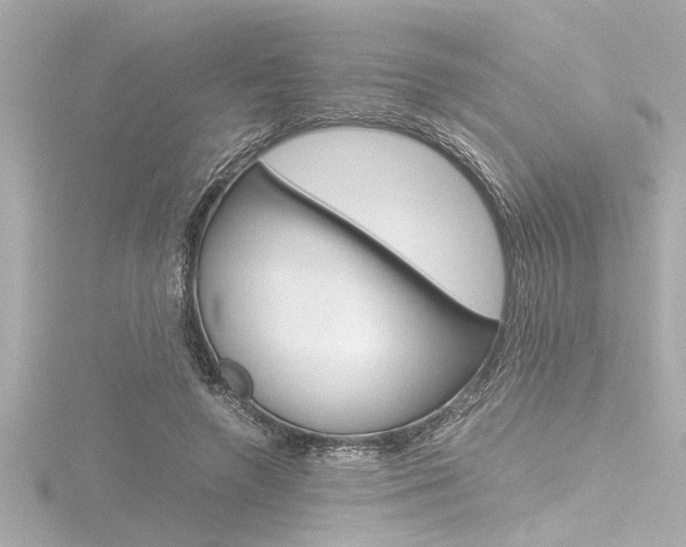 X0000116820546200912181117